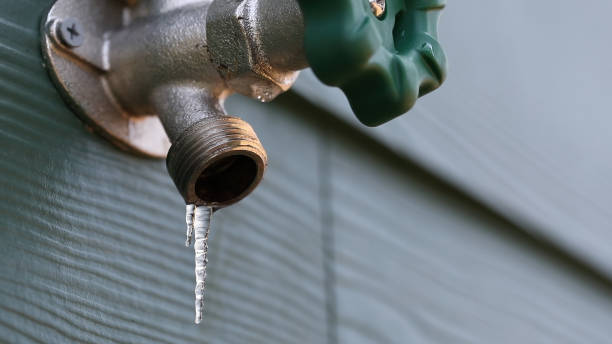Best Shower Repair Services  in Montgomery, WV
